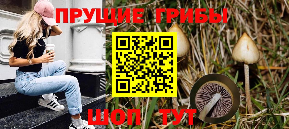 Псилоцибиновые грибы Magic Shrooms Красноуфимск
